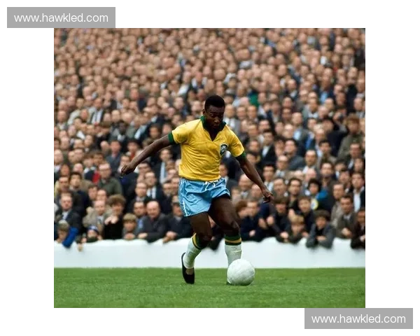 世界杯精彩回顾：历史性瞬间与各队表现全解析